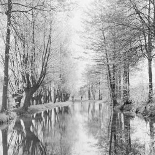 Trotzkefließ in Leipe. : Groble w Lipjem.