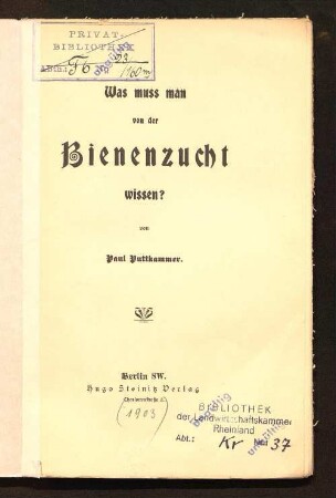 Was muss man von der Bienenzucht wissen?