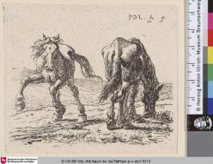 [Zwei Pferde; Two Horses on the Pasture; Twee paarden in een weide]