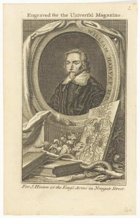 Bildnis des William Harvey