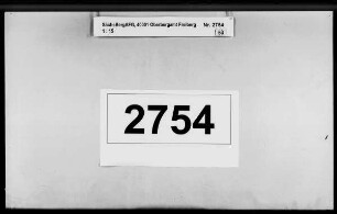 Landesherrlich angeordnete geognostische Gebirgsuntersuchung zur Entdeckung brennbarer Fossilien und anderer nutzbringender Minerale, Band 4
