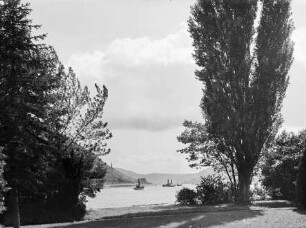 Rheinufer mit Pappel und Blick auf den Mittelrhein mit Dampfschiffen