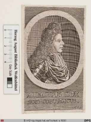 Bildnis Albrecht, Herzog zu Sachsen-Coburg (reg. 1680-99)