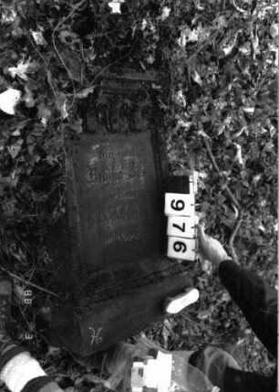 Grabstein 976