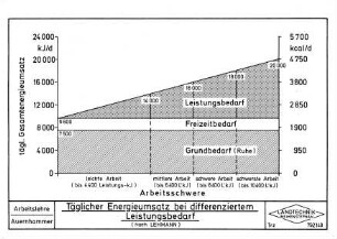 Täglicher Energieumsatz bei differenziertem Leistungsbedarf