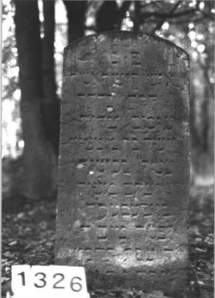 Grabstein 1326 (Index: 99900212) Material: Sandstein Zustand: etwas verwittert Maße HxBxT: 91x47x10 cm Beschreibung: Stele mit Segmentbogenabschluss: Grabstein 1326
