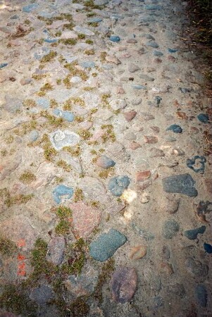 zwischen Mollhagen und Sprenge: Viehkatenstraße: Detailaufnahme: Pflasterung: 15. Juni 1999