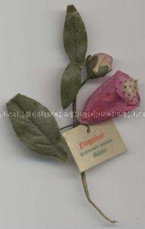 WHW-Abzeichen, Heilpflanzen: Fingerhut, 7. Reichsstraßensammlung vom 29./30. März 1941