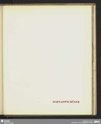 Schnappschüsse