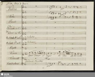 No. 14 Aria: Sposi d'onor si degni