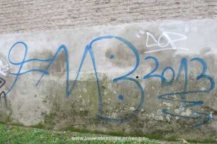 FMB 2013 | "COP"