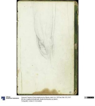 Anatomische Studie