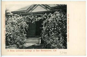 San Bernardino. A Rose Covered Cottage at San Bernardino, Cal.