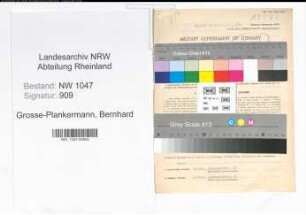 Entnazifizierung Bernhard Grosse-Plankermann , geb. 09.08.1900 (Beamter)