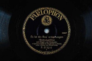 Es ist ein Ros' entsprungen / [Michael Praetorius]