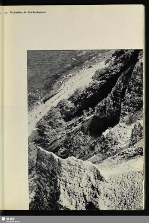 5 Kreidefelsen bei Stubbenkammer