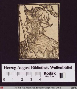 Bildnis des Adolf Graf von Nassau, römisch-deutscher König von 1292 bis 1298.