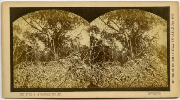 "Poorly recognisable remains of a wall in the wilderness."