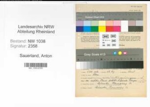 Entnazifizierung Anton Sauerland , geb. 20.03.1891 (Maler)