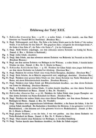 Erklärung der Taf. XIII.