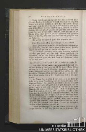 Wallnuß oder Welsche Nuß. Juglans regia L.