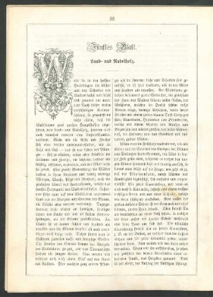 Fünftes Blatt. Laub- und Nadelholz.