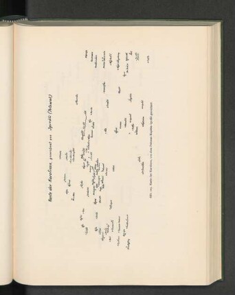 Abb. 205. Karte der Karolinen, von dem Polowat-Kapitän Igurâli gezeichnet.