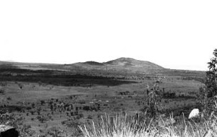 Savanne : Blick über eine Savannenlandschaft