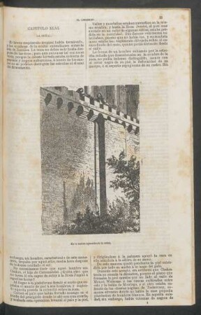 Capítulo XLVI. - La señal.