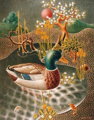 Wildente