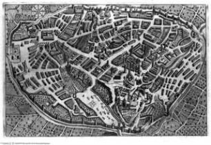 Istoria della citta di Viterbo - Tav. p. 30: pianta della città