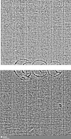 Tre lune = S.33-36