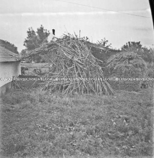 Mit Schilf getarntes Fahrzeug der Wehrmacht neben einem Haus