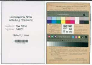 Entnazifizierung Luise Liebich , geb. 27.05.1904 (Schneiderin)