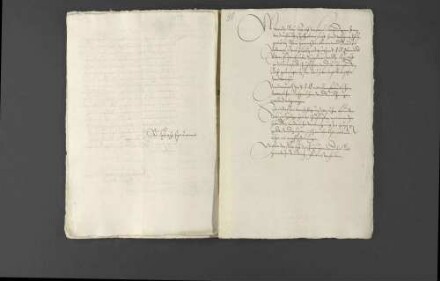 Pfalzgraf Wolfgang teil Herzog Christoph von Württemberg seine Vereinbarung mit Kaiser Ferdinand I. bezüglich einer Zollbefreiung mit.
