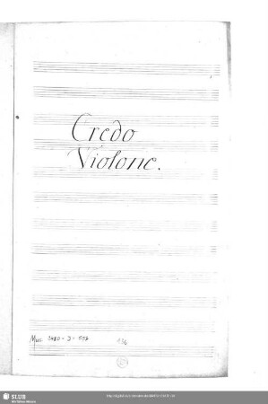 Violone.
