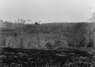 Stufenlandschaft : Stufenlandschaft mit Büschen und Bäumen bei Santo Antônio do Arancanguá.