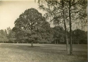 Park von Chateau Havrincourt