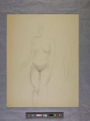 o. T. (Stehender Frauenakt; aus dem Aktzeichnen an der Burg Giebichenstein Halle)
