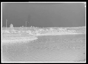 Staustufe Knetzgau. Trenndammvorkopf im Unterkanal der Schleuse; dahinter Baggerarbeiten im Fluss mit Bandförderanlage. Schweinfurter Pegel = 50 cm.
