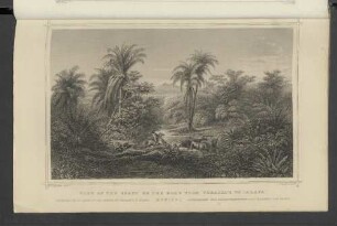 View of the coast on the road form Veracruz to Ialapa.