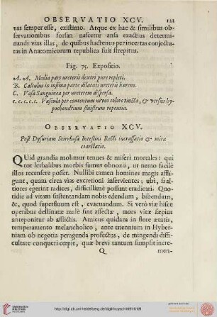 Observatio XCV