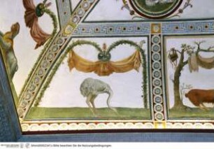 Helios (bzw. Apoll) und Selene (bzw. Artemis) als Sonne und Mond & das Kardinalswappen des Giulio de' Medici, Tierdarstellungen unter drapierten Stoffbahnen mit Blumengirlanden und Vasen