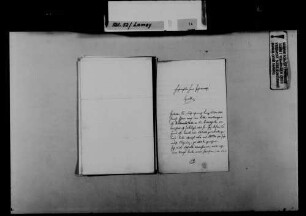 Schreiben von Josef Haas, Neuhausen, an August Lamey: Gehaltsvorstellungen von Haas.