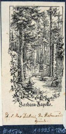 Die Ruine der St. Barbarakapelle in der Dippoldiswalder Heide