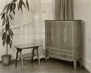 Beistelltisch : Wohn- und Arbeitszimmermöbel (1956; Entwicklungsstelle Triebes) mit Gummibaum in Ausstellungskoje