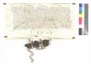 Verkauf der Wiesmahd Sandhaken zu Fischerhausen durch Konrad Rentz an Kloster Wiblingen