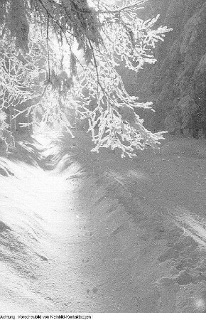 Winter, Landschaften, Skilangläufer, 1956/1957