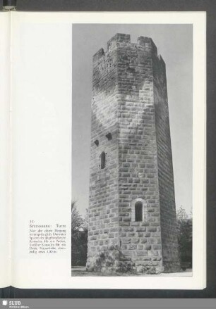 Steinsberg, Turm