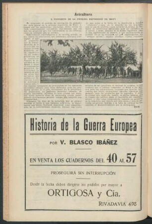 Avicultura : A propósito de la próxima exposición de mayo